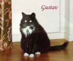 Gustav Pet Honoring